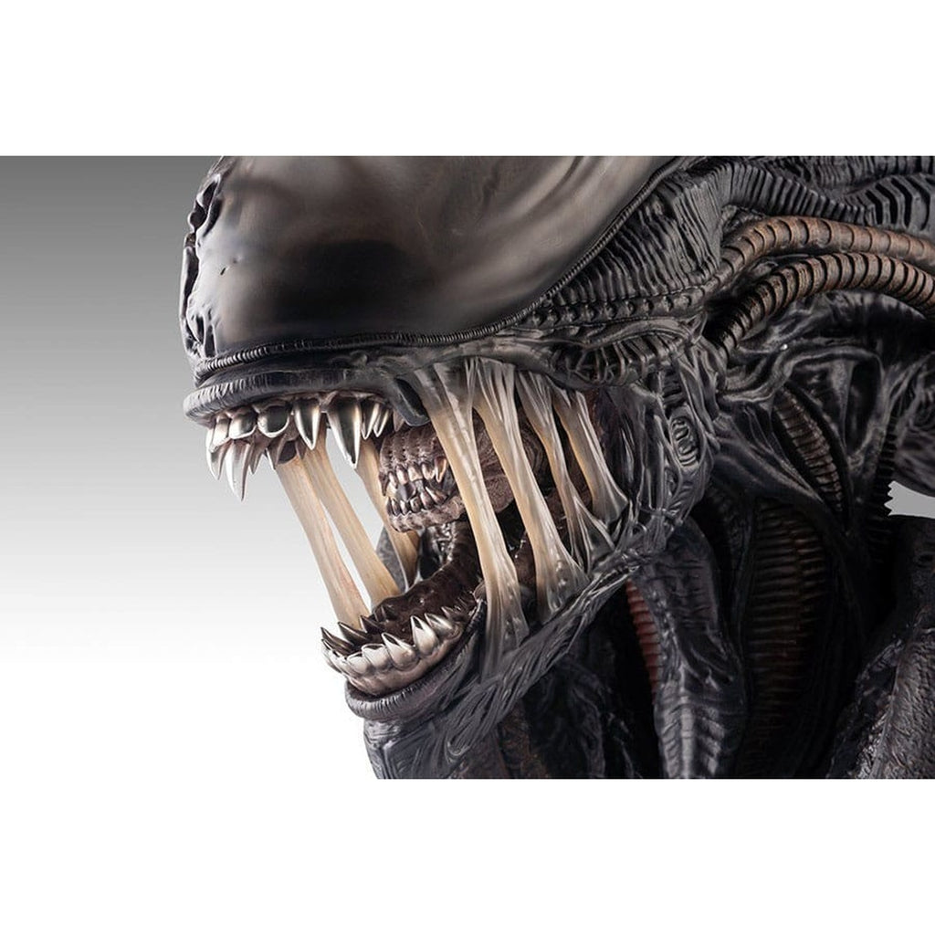 Product image Alien Romulus Bust 1/1 Xenomorph 53 cm