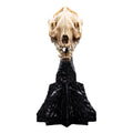 Imagen del producto El Señor de los Anillos Mini estatua Skull of a Warg 20 cm