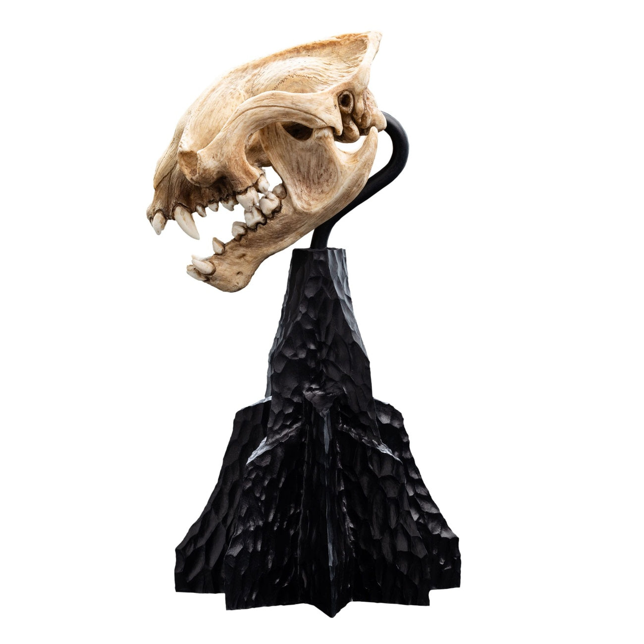 Imagen del producto El Señor de los Anillos Mini estatua Skull of a Warg 20 cm