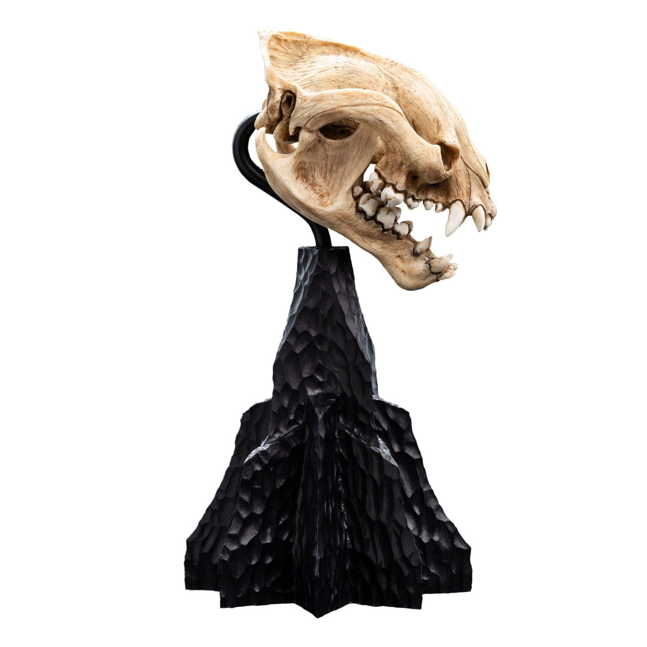 Imagen del producto El Señor de los Anillos Mini estatua Skull of a Warg 20 cm