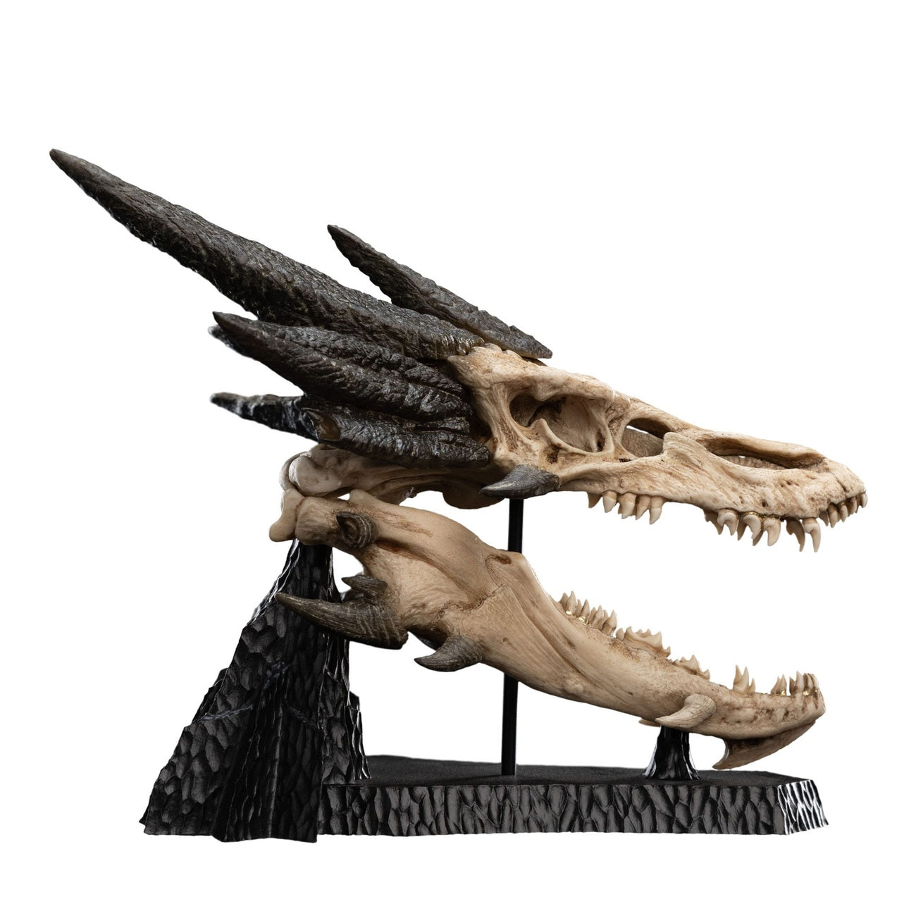 Imagen del producto El Señor de los Anillos Mini estatua Skull of Smaug 22 cm