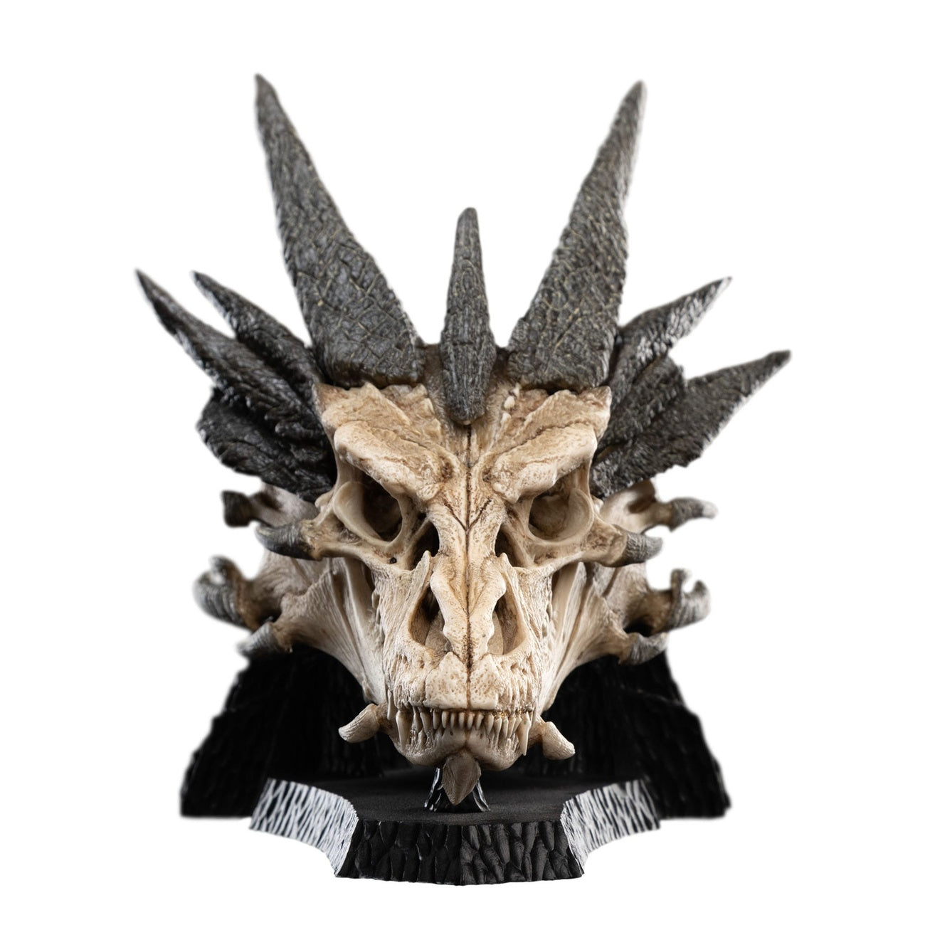 Imagen del producto El Señor de los Anillos Mini estatua Skull of Smaug 22 cm
