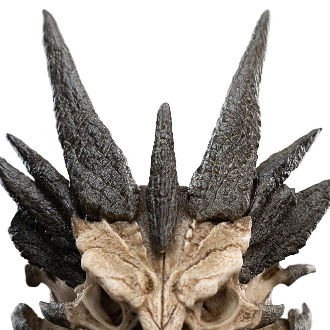 Imagen del producto El Señor de los Anillos Mini estatua Skull of Smaug 22 cm