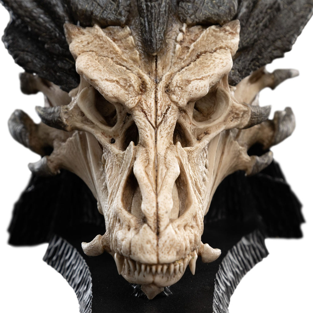 Imagen del producto El Señor de los Anillos Mini estatua Skull of Smaug 22 cm
