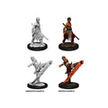 Imagen del producto D&D Nolzur's Marvelous Miniatures Miniaturas sin pintar Male Half-Elf Monk Caja maestra (6)
