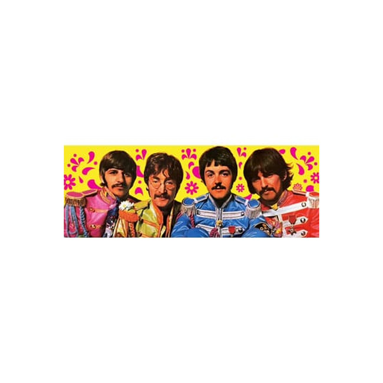 Product image The Beatles Playing Cards Green Version