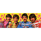 Product image The Beatles Playing Cards Green Version
