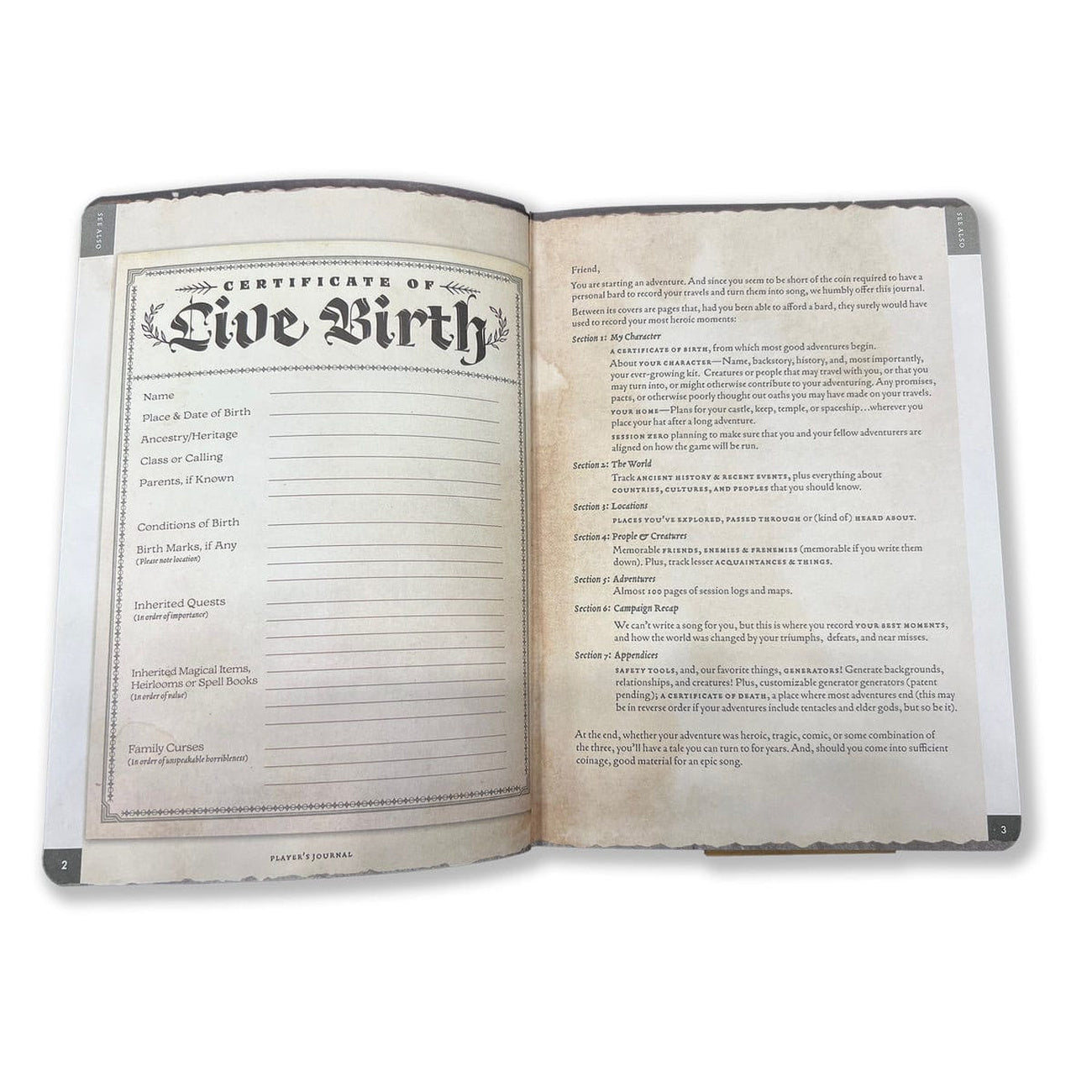 Imagen del producto Cuaderno A5 Player's Journal Verde Salvia Shield