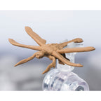 Product image Godzilla S.H. MonsterArts Action Figure Megaguirus Evolution