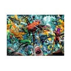 Imagen del producto Rompecabezas DC Comics Aquaman (1000 piezas)