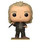 Product image Harry Potter - Peter Pettigrew Funko Pop Figure